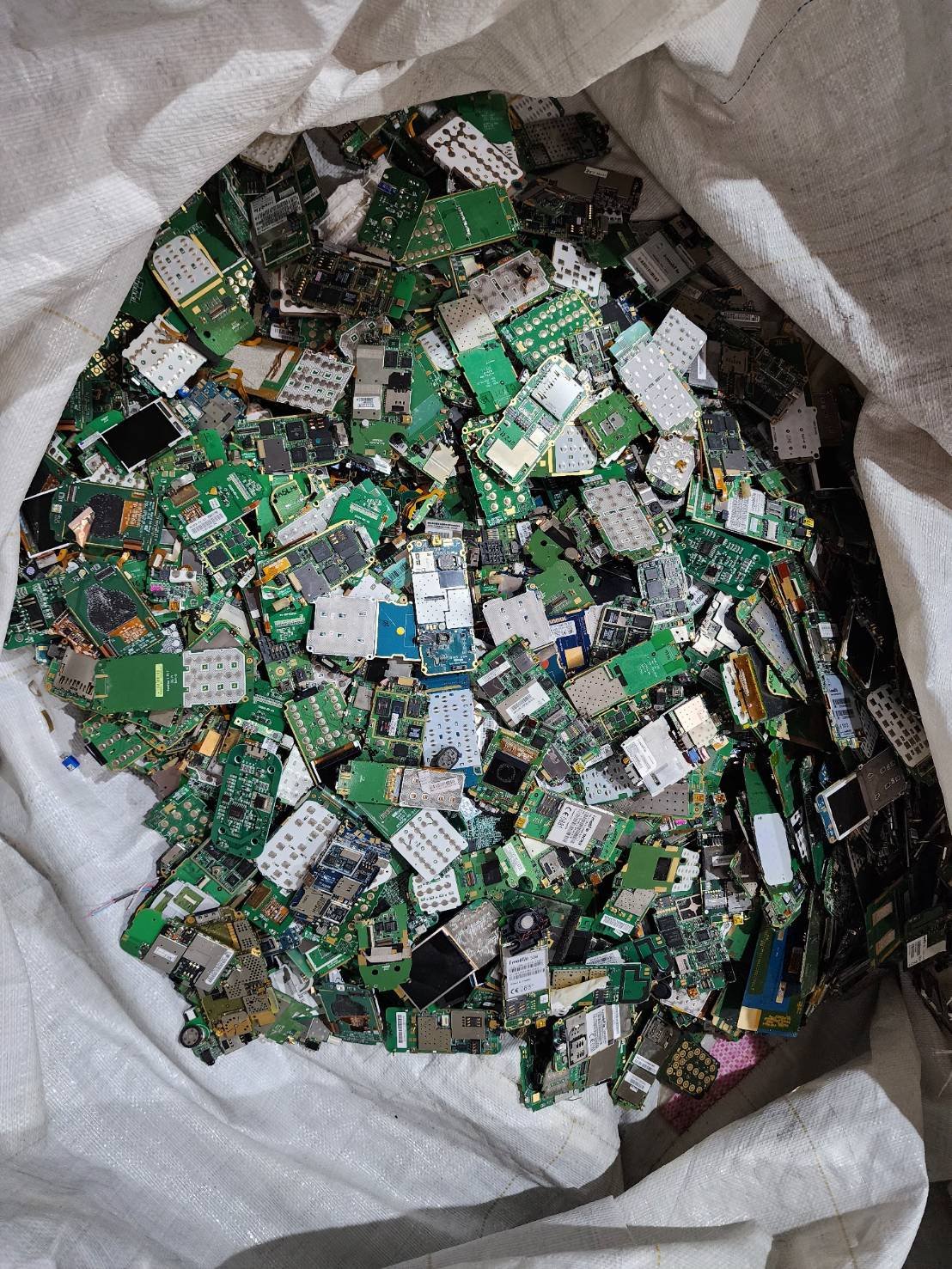 PCBs